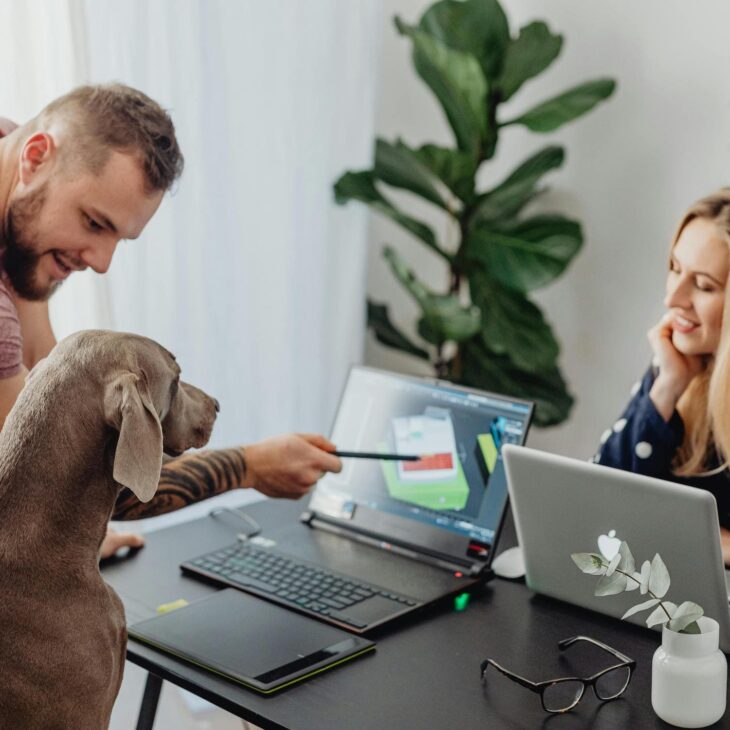 Hunde im Büro – dein Leitfaden, damit alles klappt