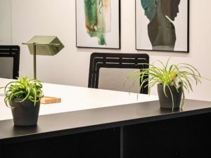 Office Room Desk with plants